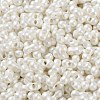 Glass Seed Beads SEED-L011-04A-21-3