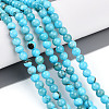 Natural Persian Jade Beads Strands G-A255-A02-04H-1