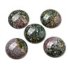Natural Indian Agate Cabochons G-C115-02B-09-1