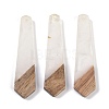 Resin & Wood Pendants WOOD-F015-05C-1