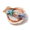 14Pcs 14 Styles Natural Scallop Shell Beads with Glass Jar Glass Bottles Stone Pendants PALLOY-JF03564-5