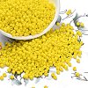 Glass Seed Beads SEED-A010-3mm-42-1
