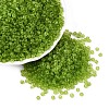 8/0 Glass Seed Beads SEED-A008-3mm-M4-1