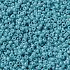 MIYUKI Round Rocailles Beads X-SEED-G009-RR2470-3