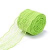 Polyester Lace Trim OCOR-A004-01P-2