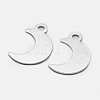 925 Sterling Silver Charms STER-I014-19S-3