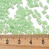 Ceylon Glass Seed Beads SEED-K009-02B-27-4