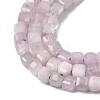 Natural Kunzite Beads Strands G-A293-A01-01-4