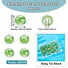 50Pcs Handmade Sand Lampwork Beads LAMP-TA0001-60B-4