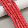 Synthetic Turquoise Beads Strands G-V003-A01-06-1
