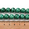 Natural Malachite Beads Strands G-A271-A01-10mm-5