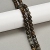 Natural Labradorite Beads Strands G-I253-01-8mm-1