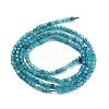 Natural Blue Apatit Beads Strands G-H042-B12-01B-3