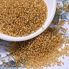 MIYUKI Round Rocailles Beads LS-X-SEED-G007-RR0004-1