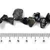 Natural Eagle Eye Stone Nuggets Beads Strands G-B125-A15-01-4