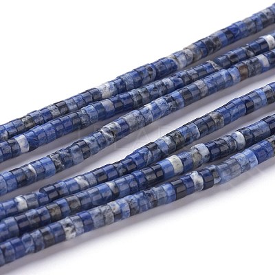 Natural Sodalite Beads Strands G-H230-10-1