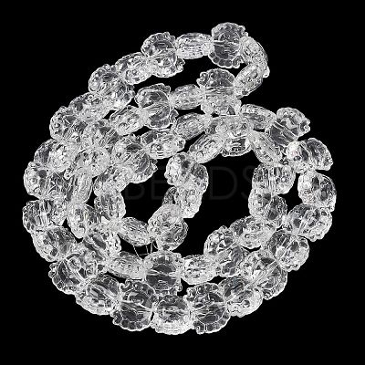 Electroplate Baking Paint Transparent Glass Beads Strands GL-CBA17FF-02L-1