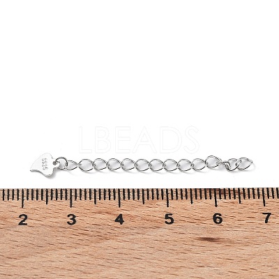 Rhodium Plated 925 Sterling Silver Chain Extenders STER-G036-19P-1