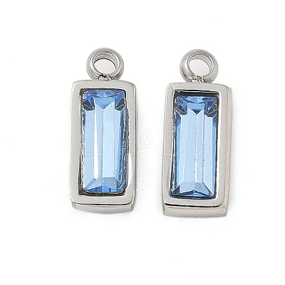 304 Stainless Steel Charm STAS-L022-242P-13-1
