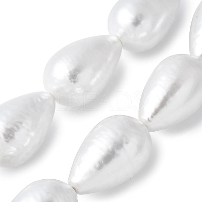 Electroplated Shell Pearl Beads Strands BSHE-F013-13-02-1