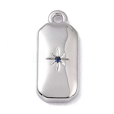 Brass Micro Pave Cubic Zirconia Charms ZIRC-I054-12P-05-1