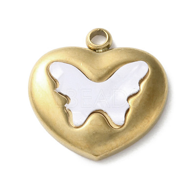 304 Stainless Steel Acrylic Pendants STAS-M091-02B-G-1