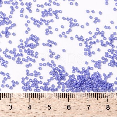 MIYUKI Round Rocailles Beads X-SEED-G009-RR0417L-1