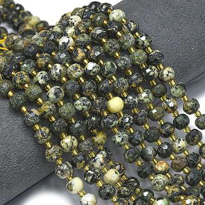 Natural African Turquoise(Jasper) Beads Strands G-K389-E71-01-1
