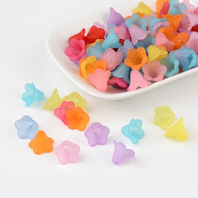 Mixed Color Frosted Acrylic Beads X-PL692-1