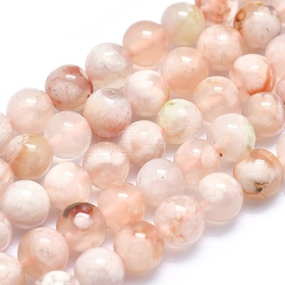 Natural Cherry Blossom Agate Beads Strands G-I213-23-6mm-1
