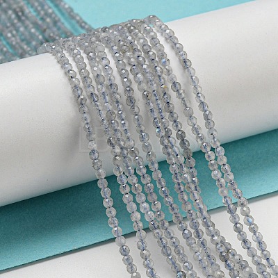 Natural Labradorite Beads Strands LS-G-A097-A07-01-1