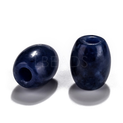 Natural Sodalite European Beads G-F580-A07-1