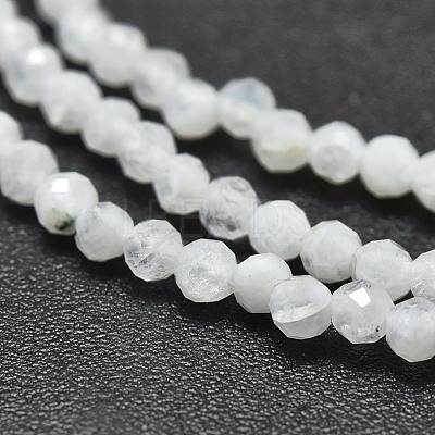 Natural Rainbow Moonstone Beads Strands X-G-O186-D02-1