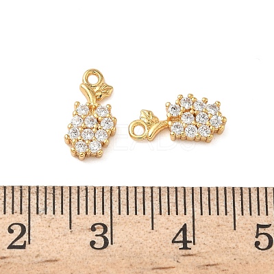 Brass Micro Pave Clear Cubic Zirconia Charms KK-B160-33G-1