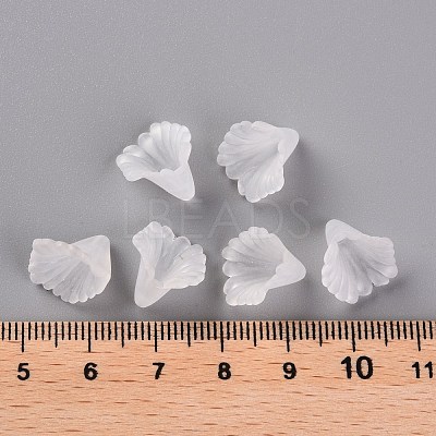 Frosted Acrylic Bead Caps MACR-S371-10A-701-1