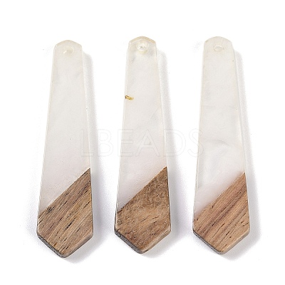 Resin & Wood Pendants WOOD-F015-05C-1