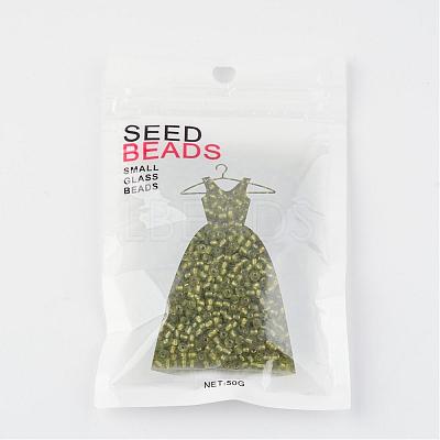 8/0 Glass Seed Beads X-SEED-A005-3mm-24-1