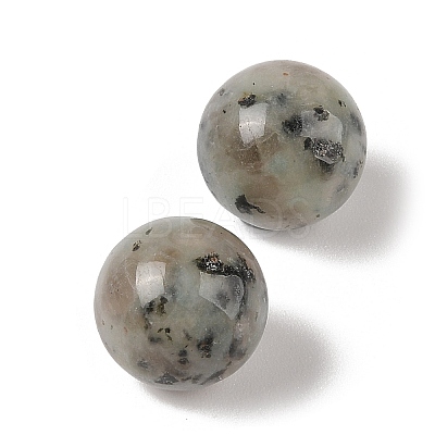 Natural Sesame Jasper No Hole Sphere Beads G-K353-04D-36-1