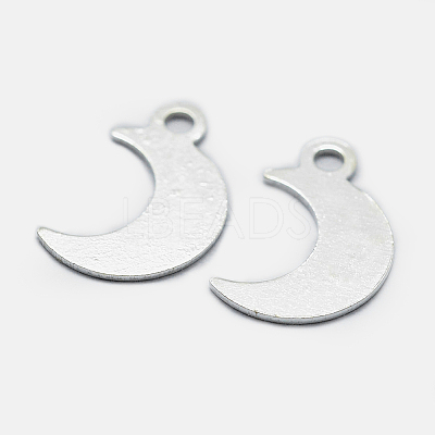 925 Sterling Silver Charms STER-I014-19S-1