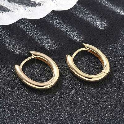 Oval Brass Hoop Earrings EJEW-D320-09G-1