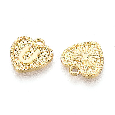 Alloy Pendants PALLOY-N157-001U-NR-1