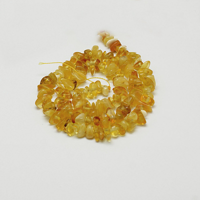 Natural Amber Chip Beads Strands X-G-E333-01A-1