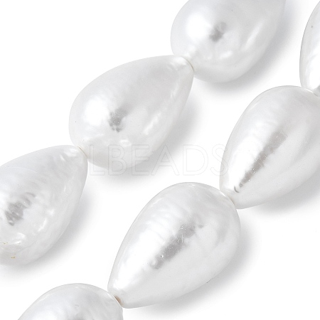 Electroplated Shell Pearl Beads Strands BSHE-F013-13-02-1