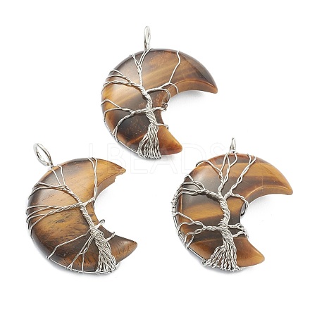 Natural Tiger Eye Tree of Life Wire Wrapped Pendants G-L520-E07-P-1