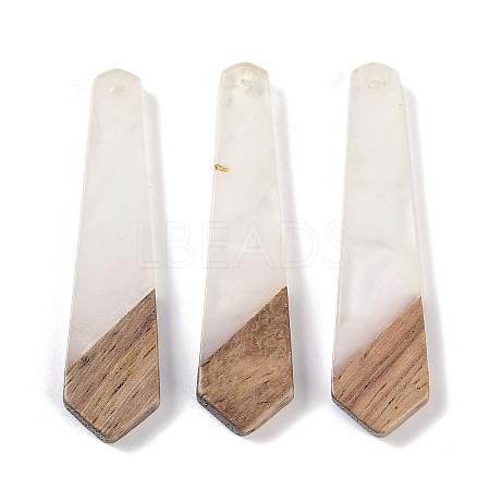 Resin & Wood Pendants WOOD-F015-05C-1
