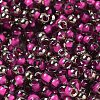 Transparent Inside Colours Glass Seed Beads SEED-H002-A-C207-3