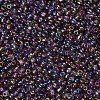 8/0 Glass Seed Beads X1-SEED-A007-3mm-176-2