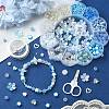 Acrylic Beads for DIY Jewelry Set DIY-YW0008-85-5