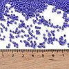 Baking Paint Glass Seed Beads X-SEED-S042-05B-74-4