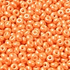 Baking Paint Luster Glass Seed Beads X1-SEED-B001-04A-10-3